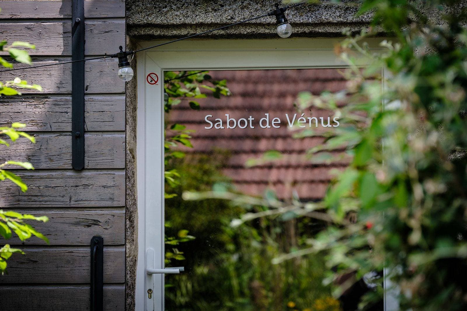 CHAMBRE-Sabot_de_Venus-10