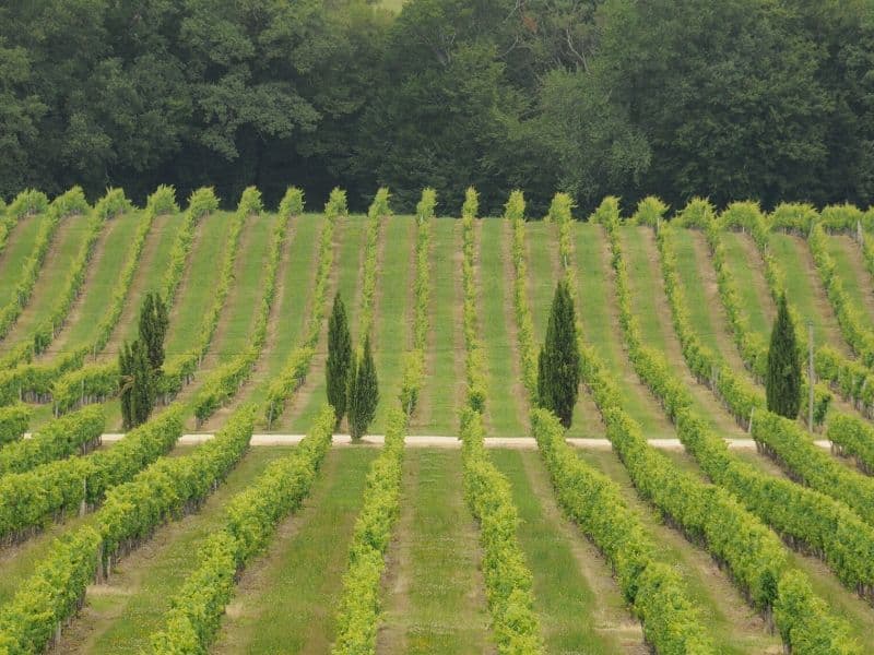 CHATEAU-VERMONT--2-