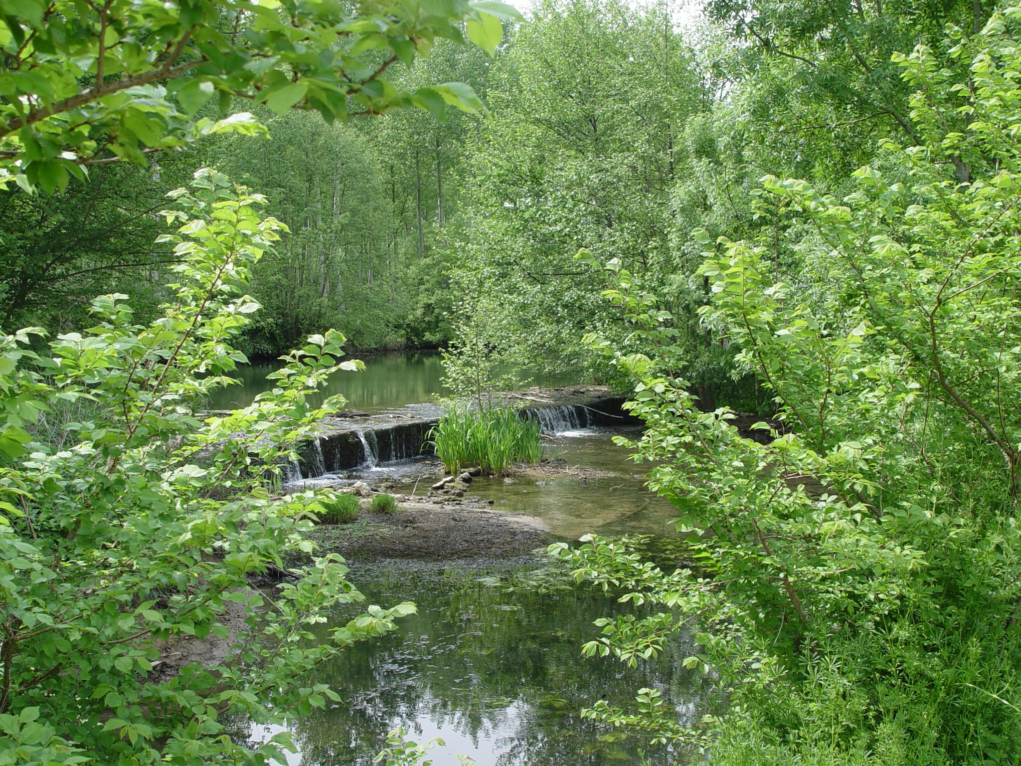 Chaussée sur la Sèvre Niortaise