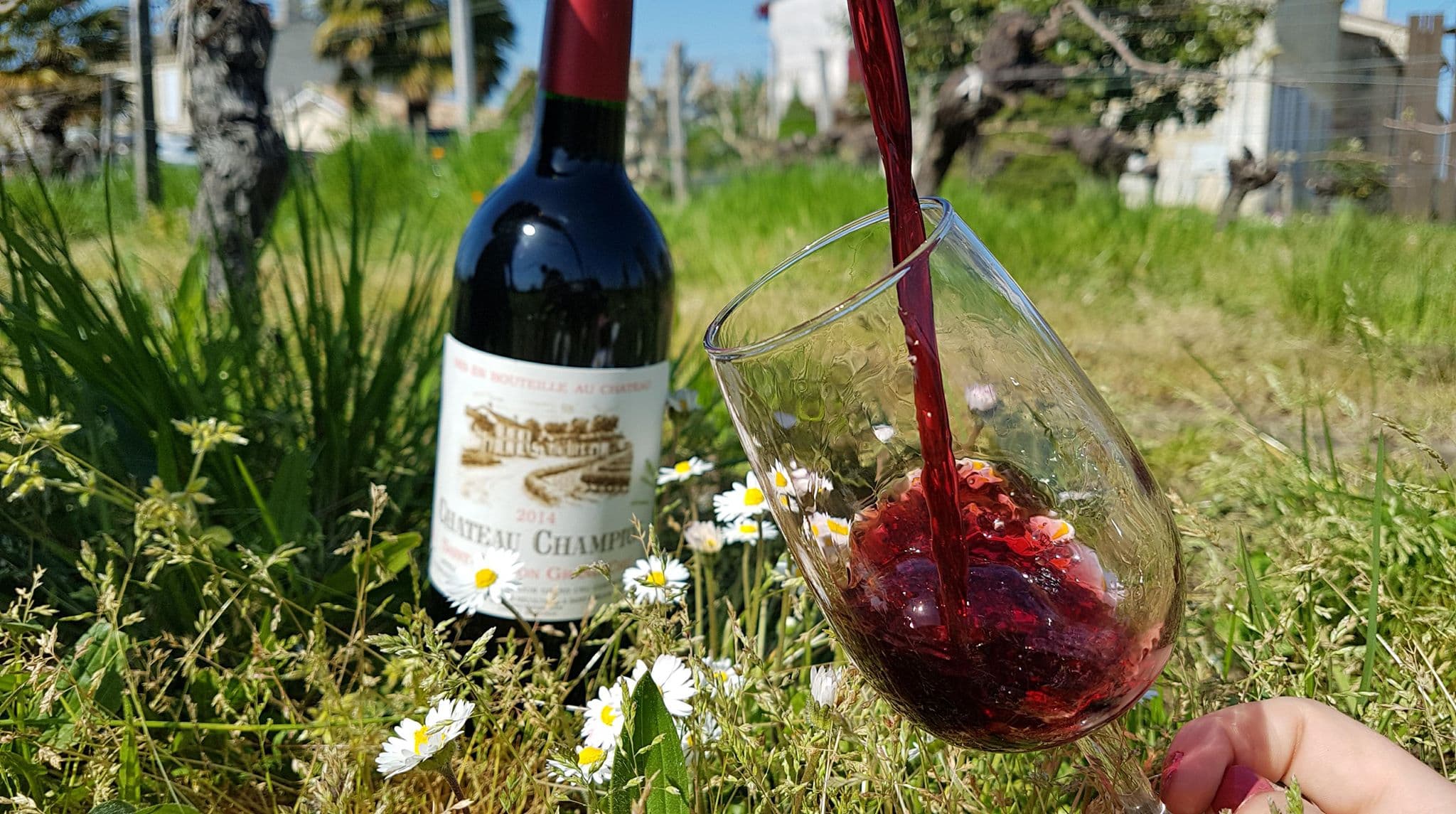 bouteille et verre
