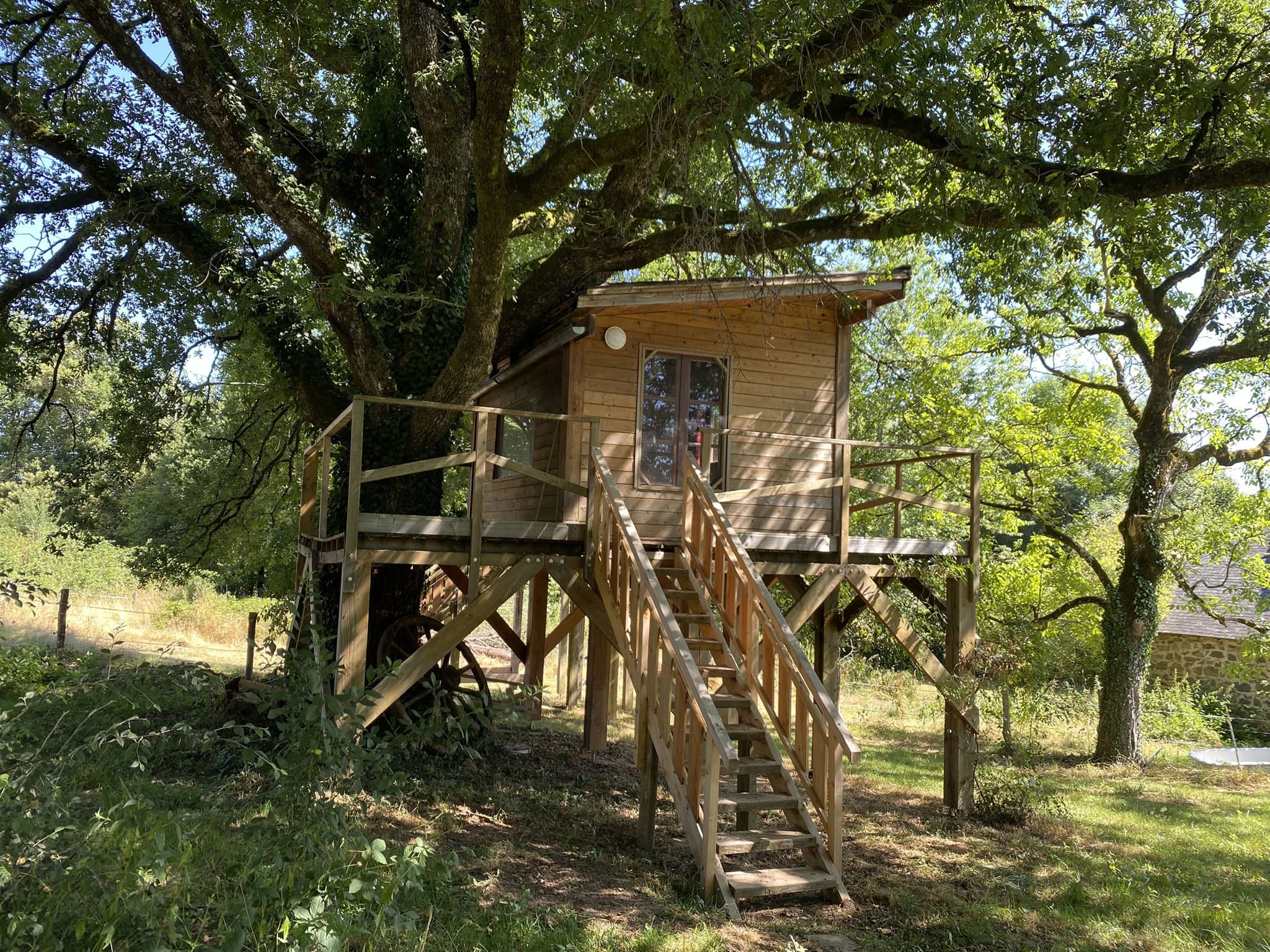 Cabane_sous_chêne_5