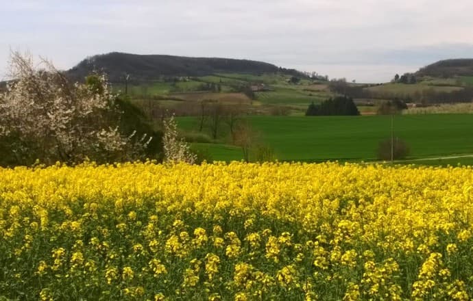 Campagne-du-cote-de-Monsegur