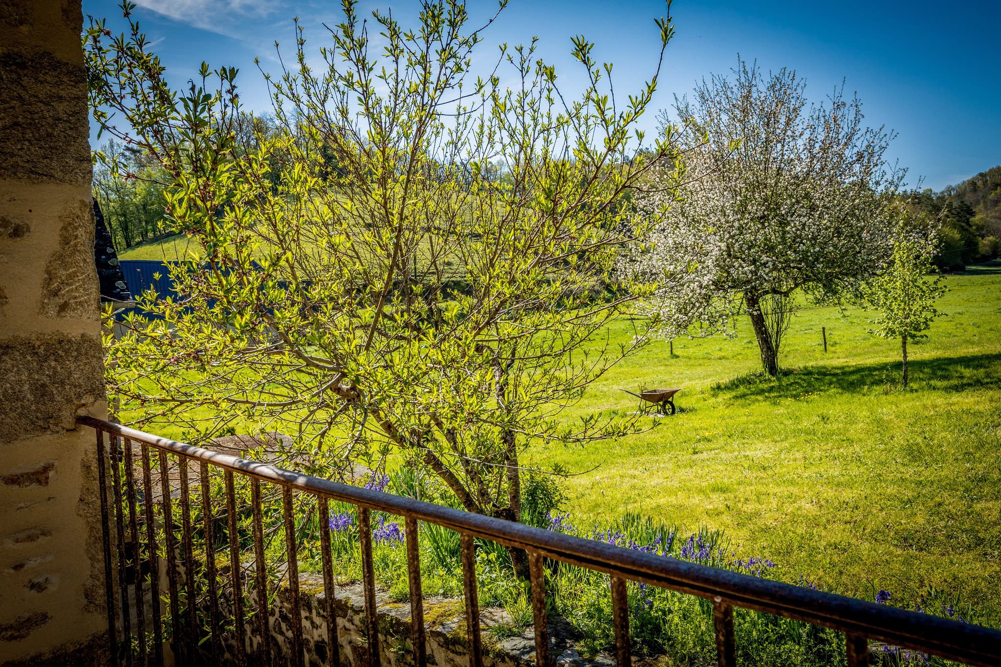 Campagne_13