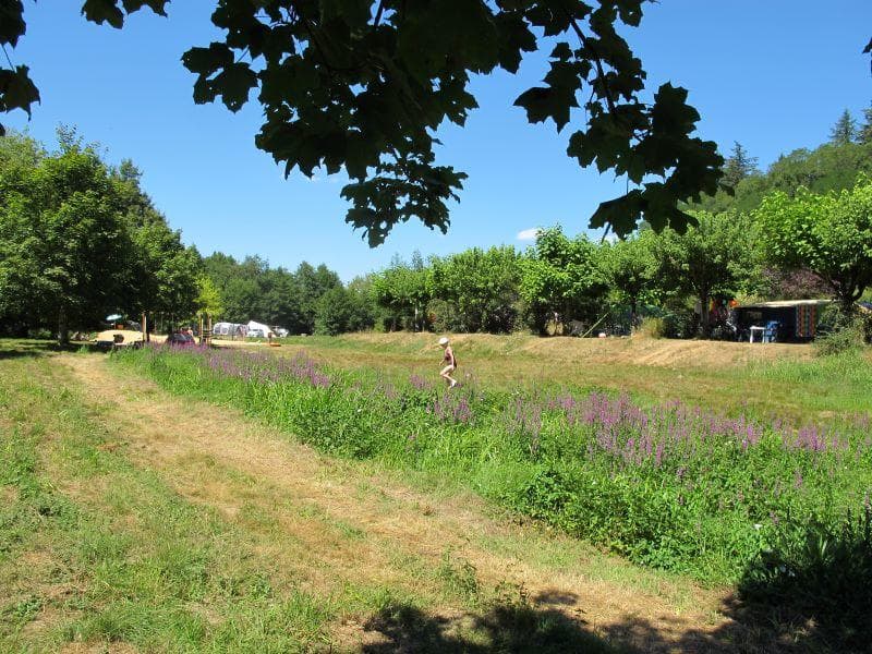 Camping