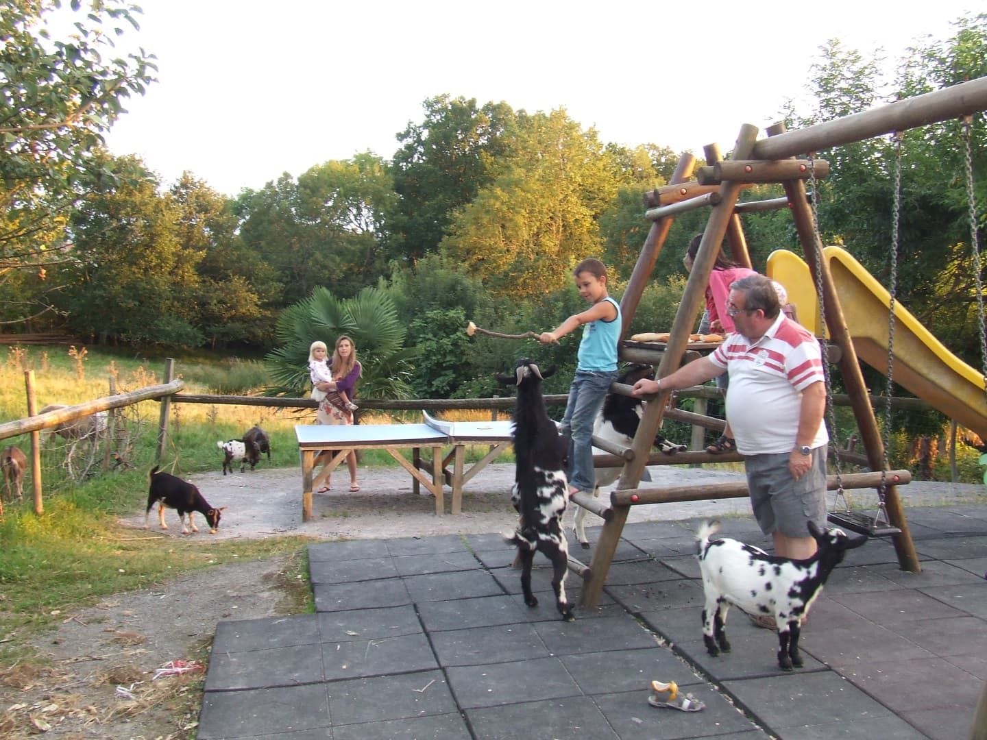 Camping-Manex-Jeux