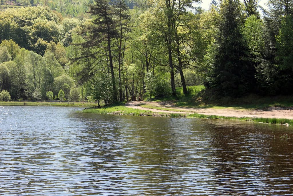 Camping municipal de l'Enclose_8