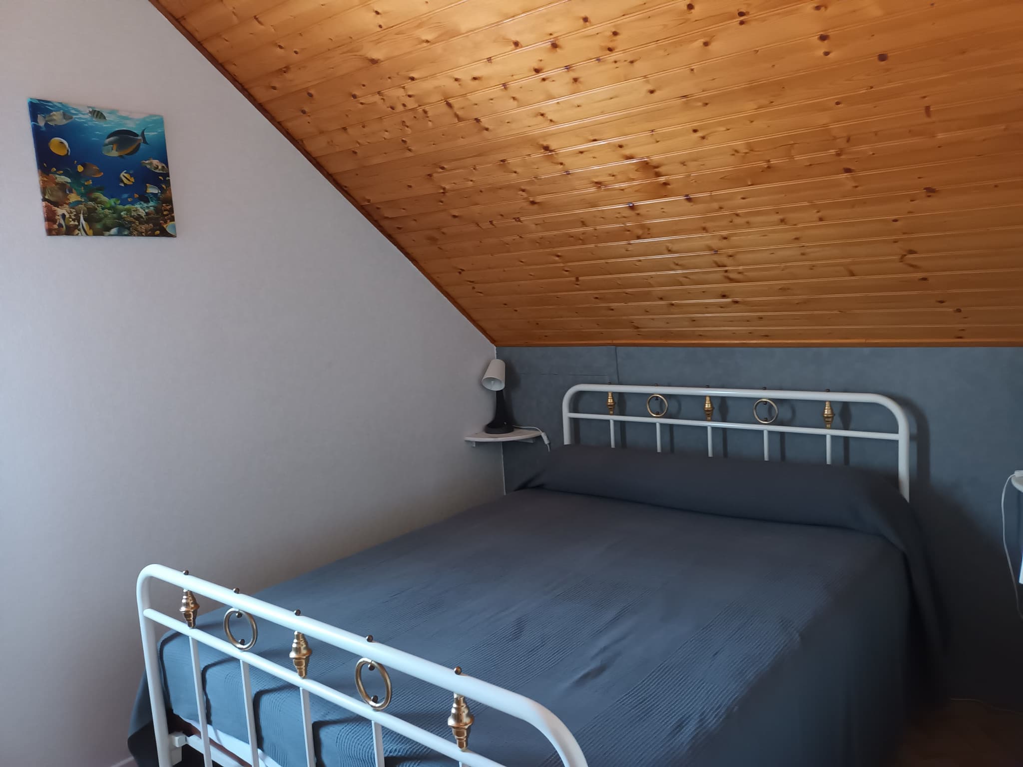Casa-lola©Medici-11