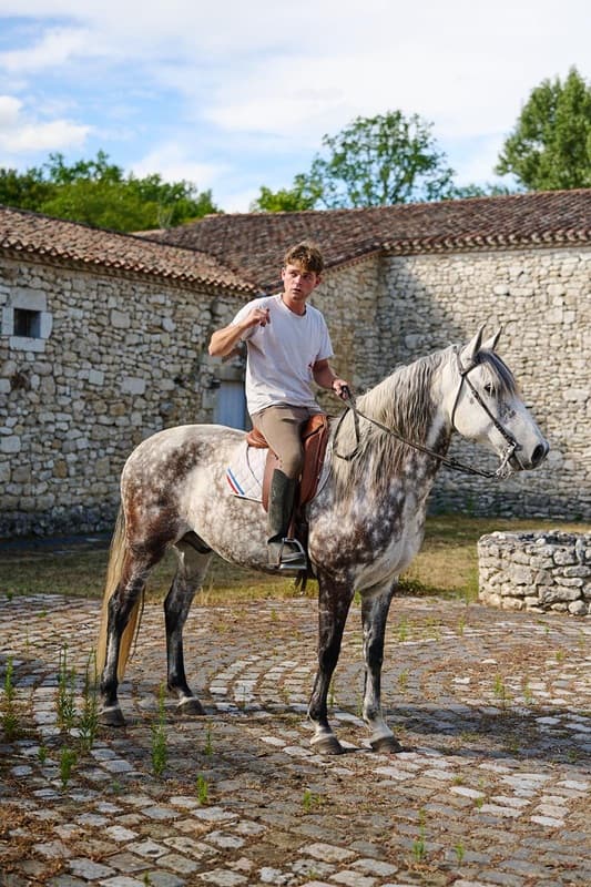 Cavalier Couronneau
