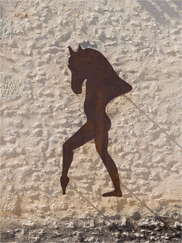 Cavalier couronneau