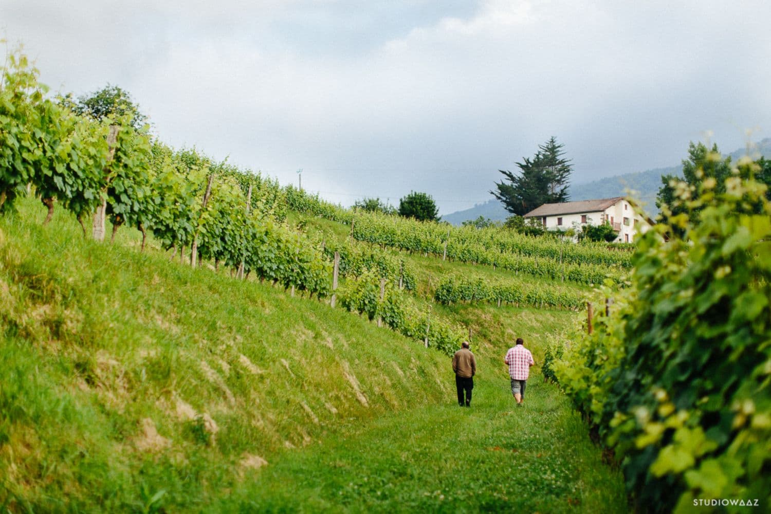 Cave-Irouleguy (1)