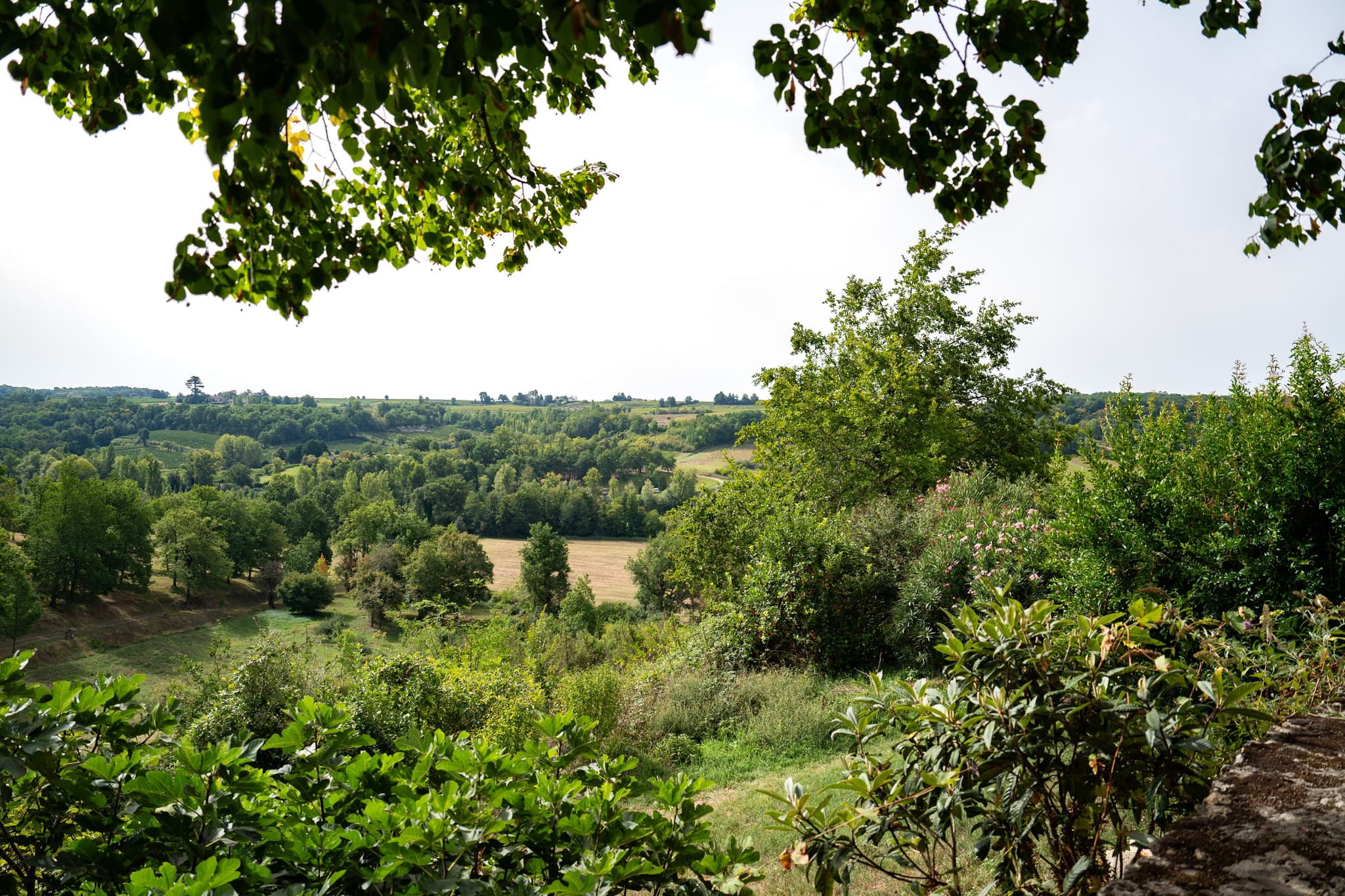 CdS Terrasse