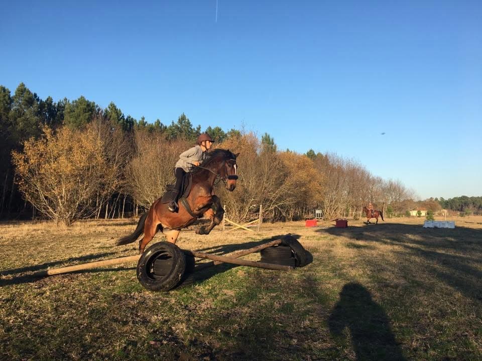 Centre equestre de Lescarran Le Porge