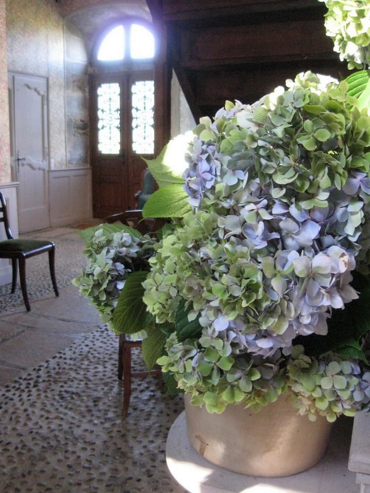 ChHotesLePradel-Monceaux_detailEntreeHortensias_24