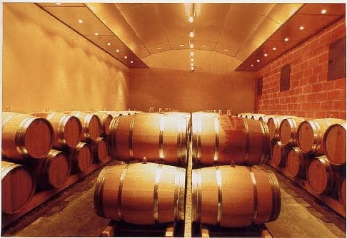 Château vieux robin 6