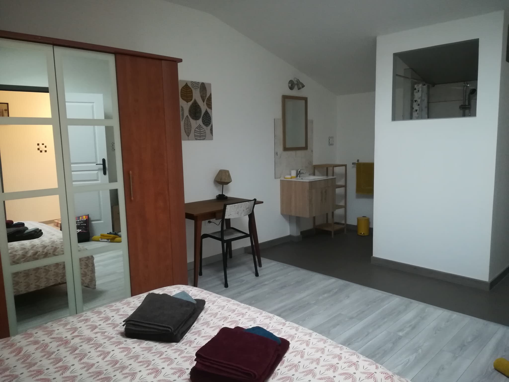 Chambre ouverte sur SDB