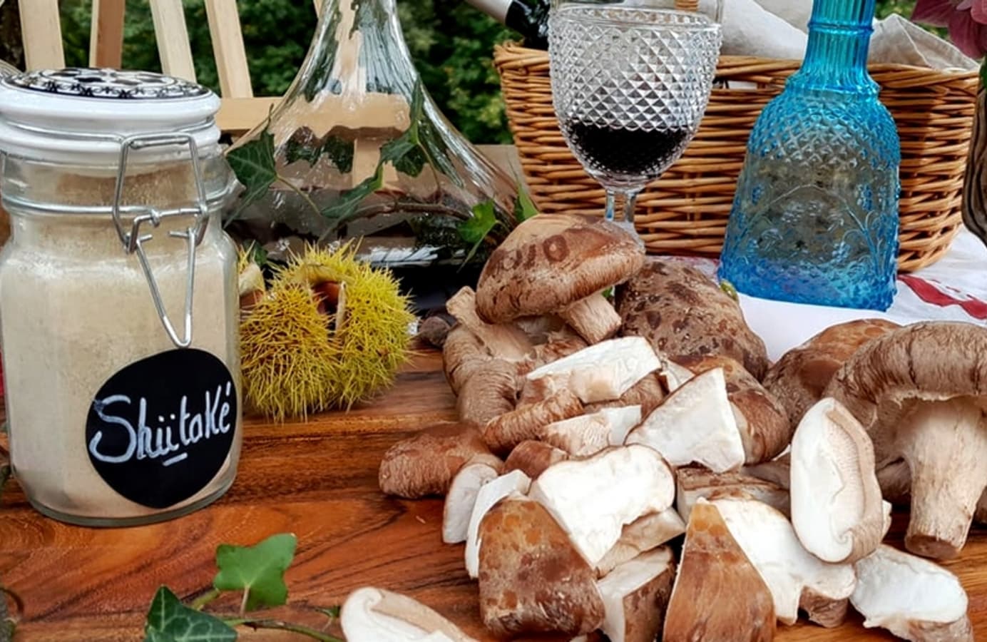 Champignons-de-Gaudeix