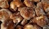 Champignons-de-Gaudeix2