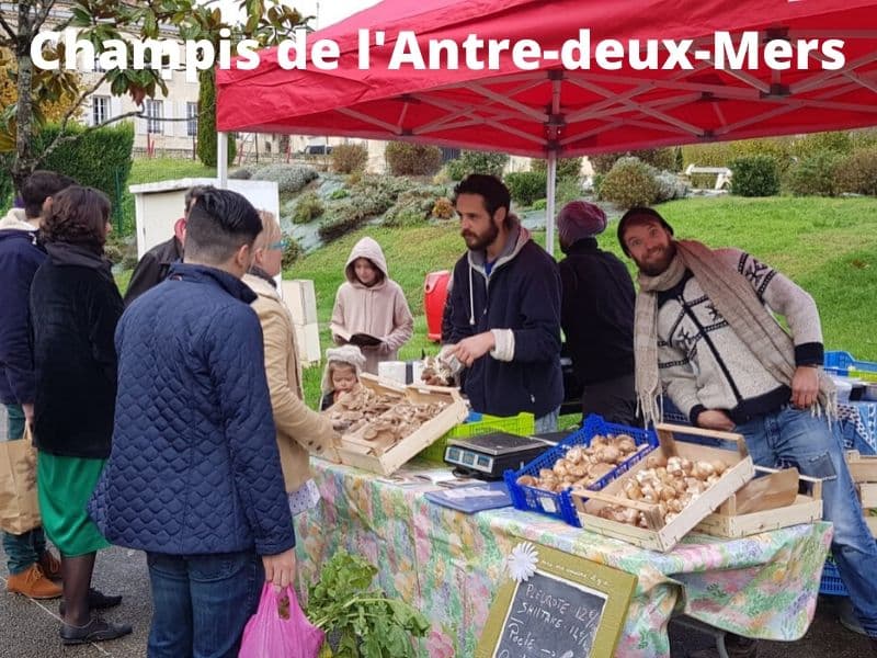 Champis-de-l-Antre-deux-Mers