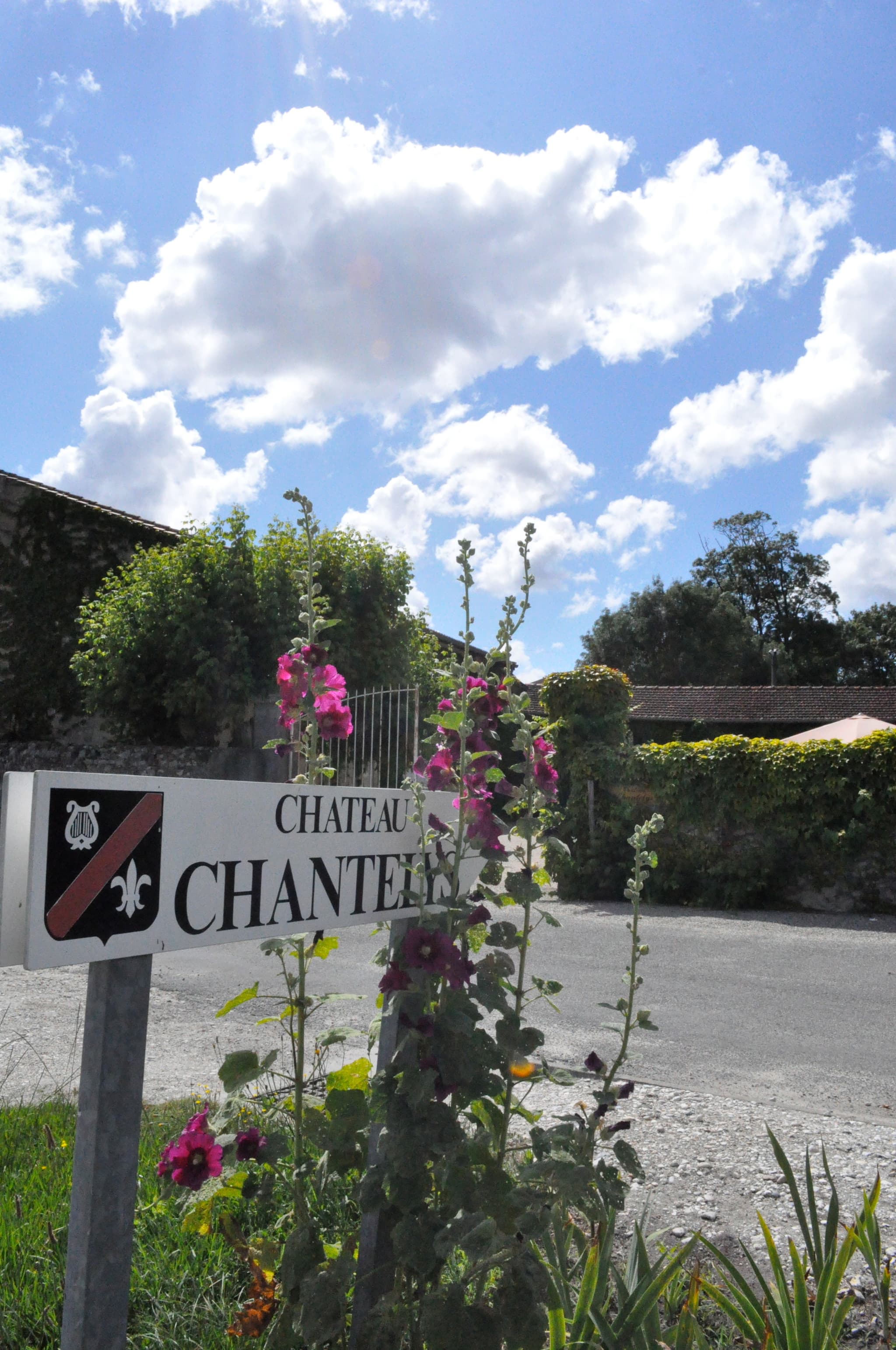 CHÂTEAU CHANTELYS 1