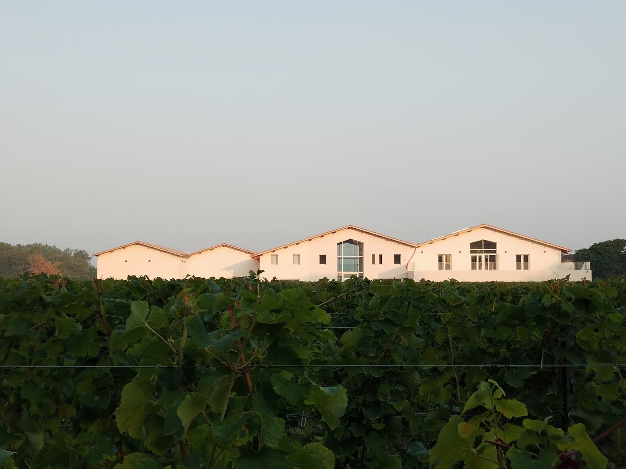 Château Escot 10