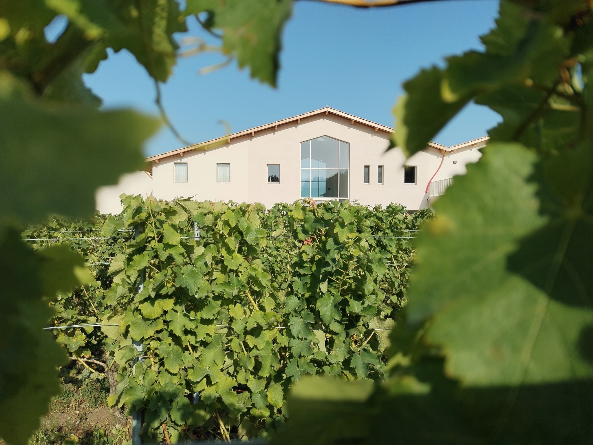 Château Escot 9