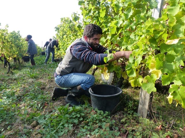 Château Haut Bernasse7