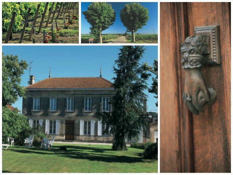 Château Haut Guiraud 800x600 vin St ciers de canesse