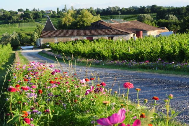 Chateau-La-Brande