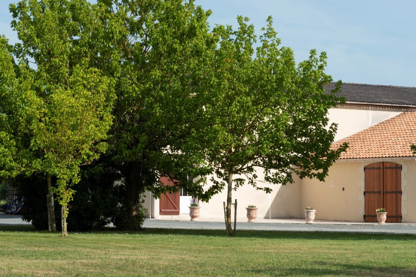 Château La Branne 1