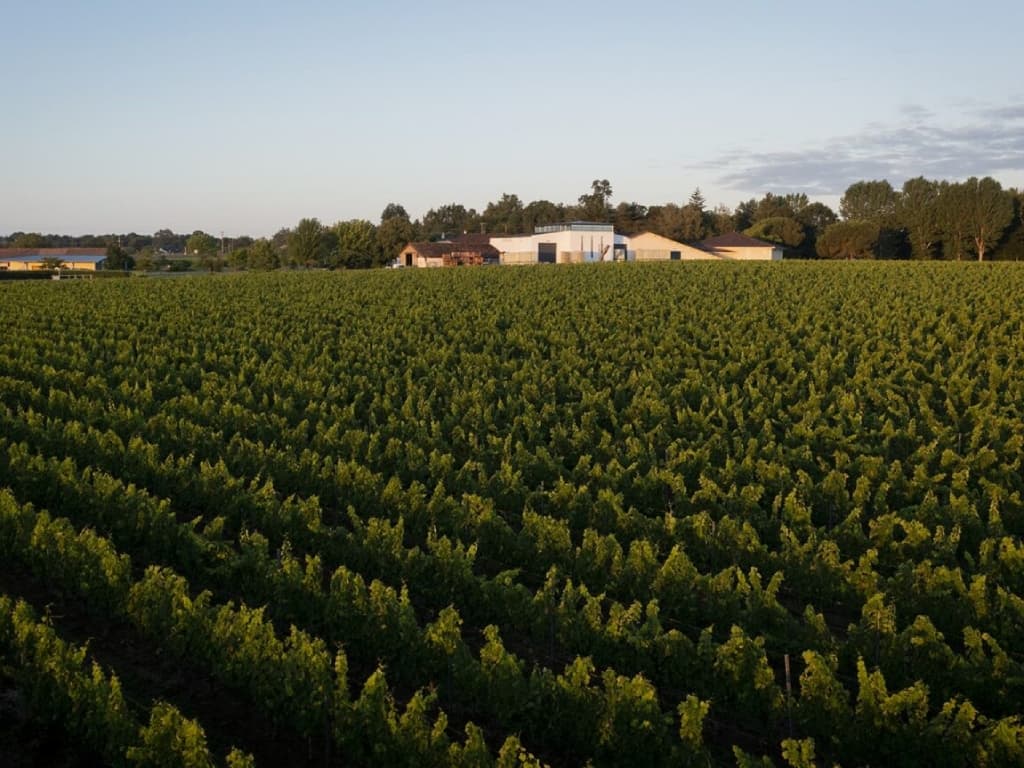 Château Landereau