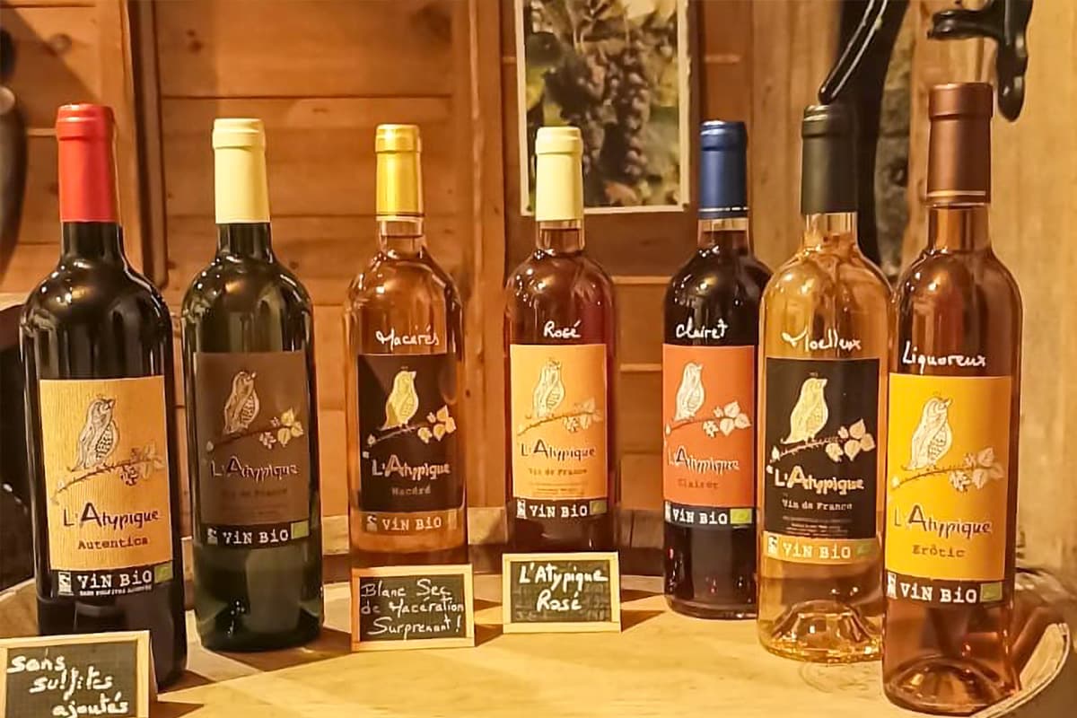 Château Larchère 4