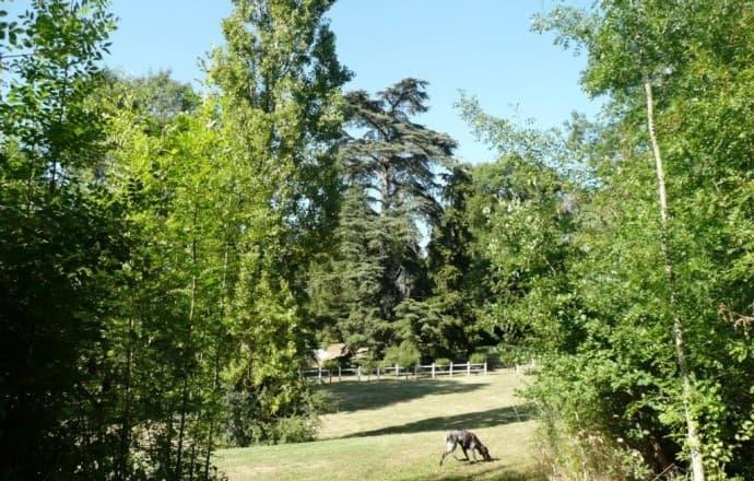 Chateau-Lassagne-20