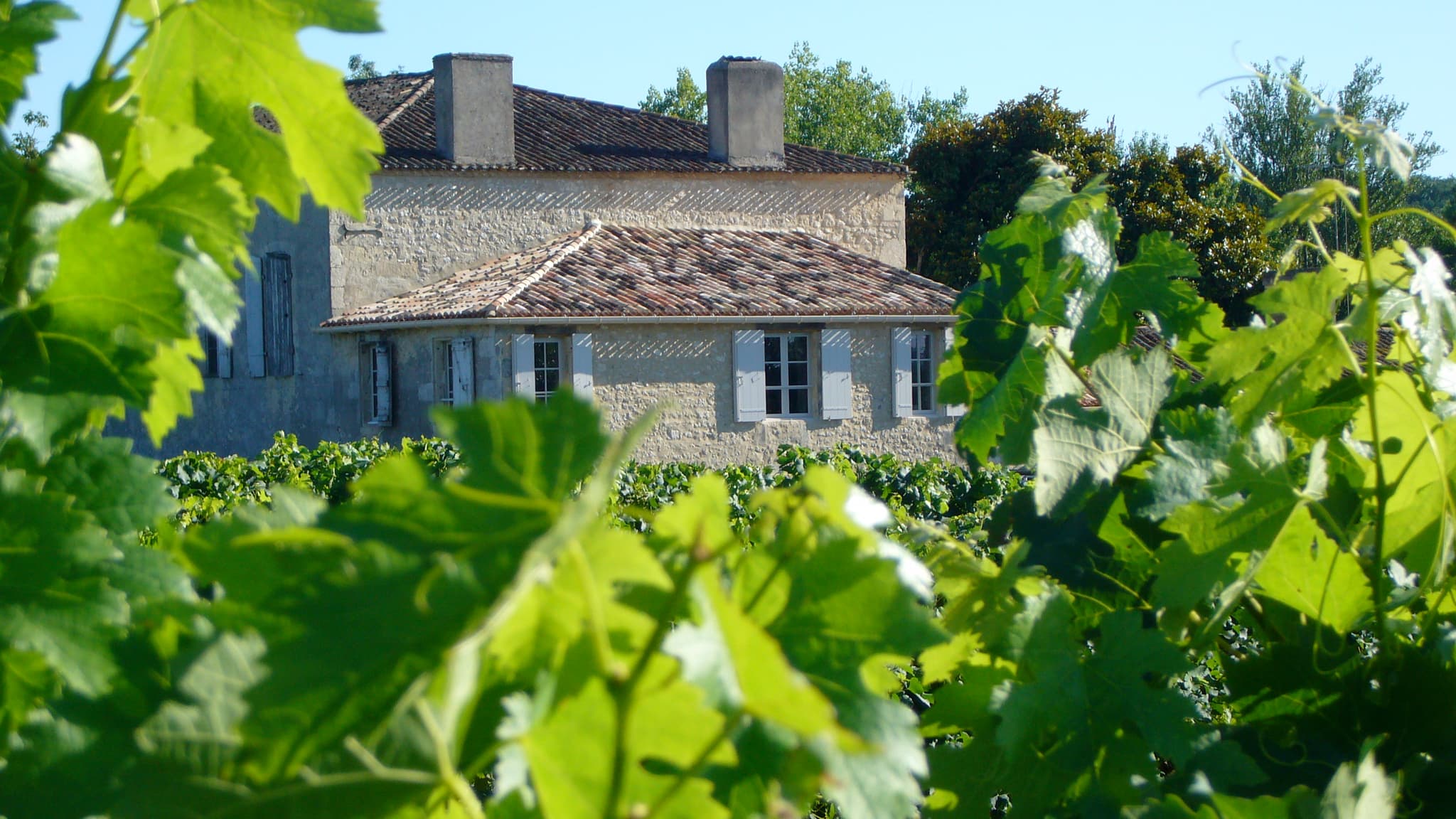 Château Le Sèpe