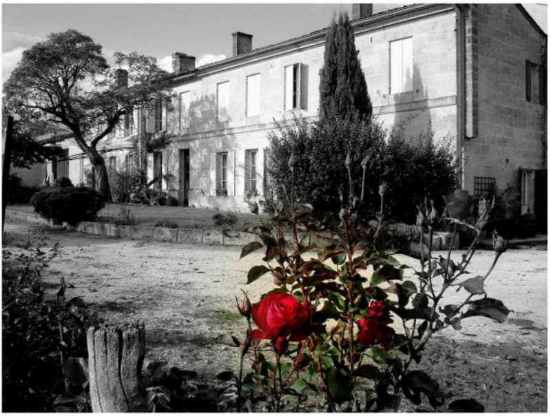 Château Martinat