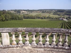 Château Parenchère - Vue sur le vignoble