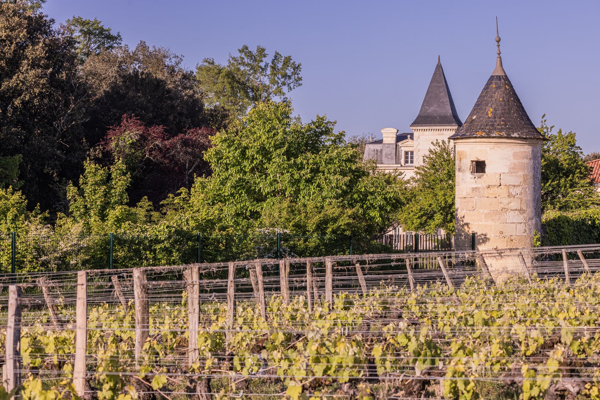 Chateau Senejac