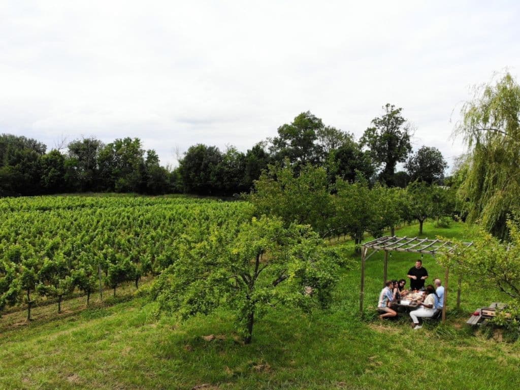 Château Shuette