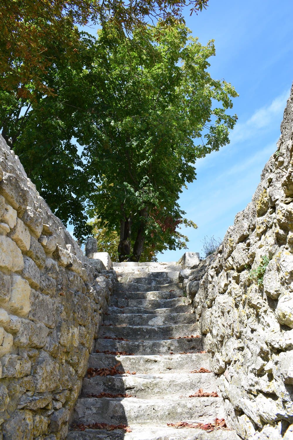 Château Théobon 2018 (2)