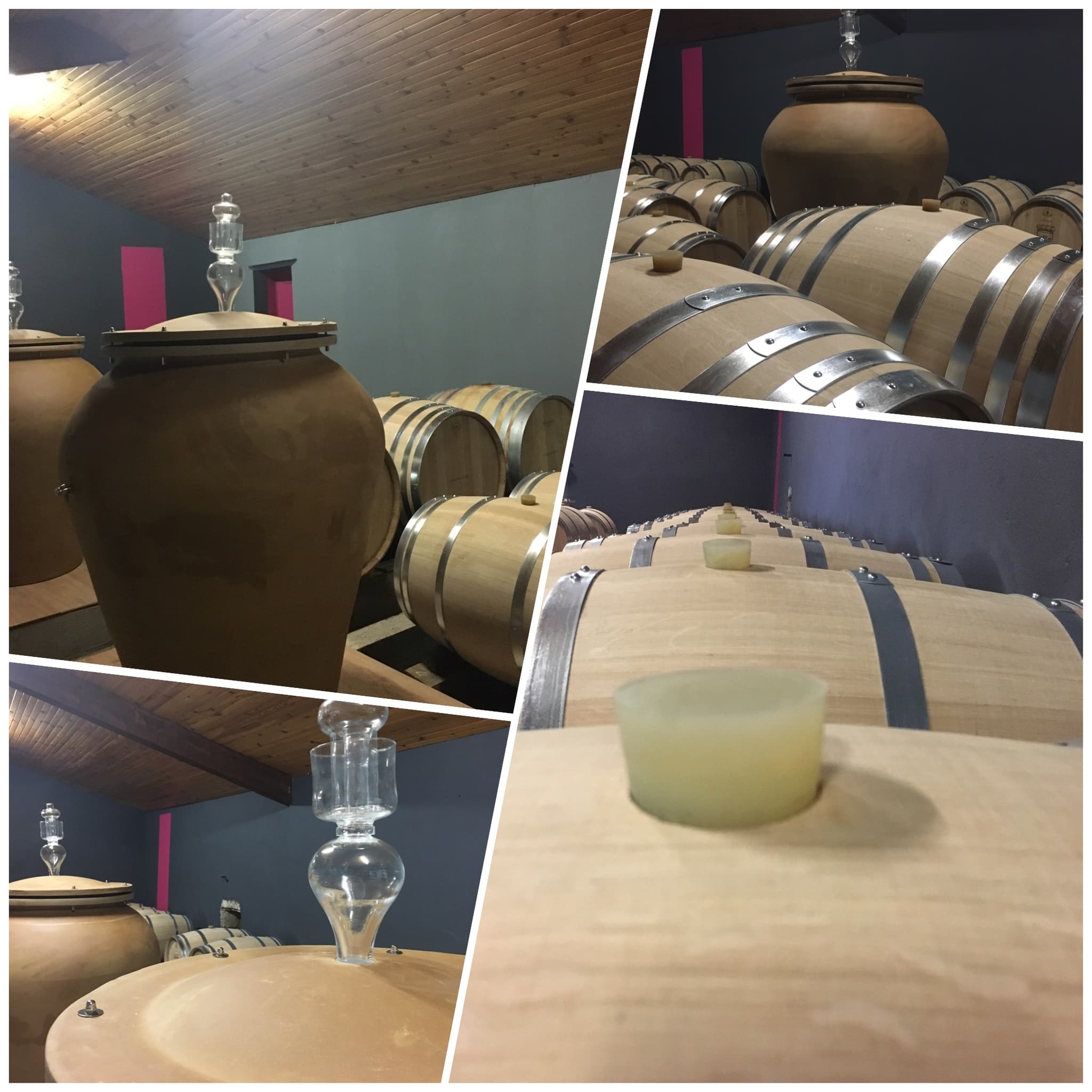 Château Tour Castillon 7