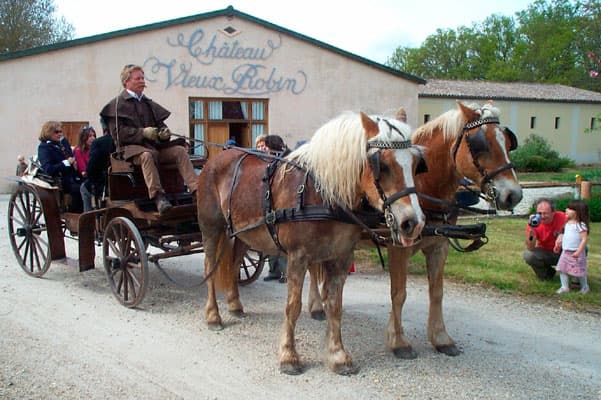 Château Vieux Robin 9