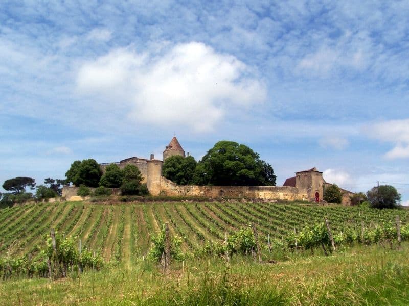 Chateau-de-Benauge--1-