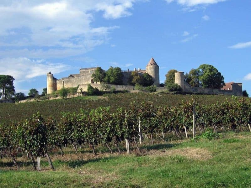 Chateau-de-Benauge-2