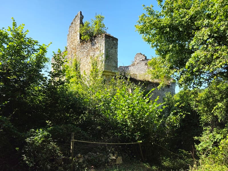 Château de Bruzac