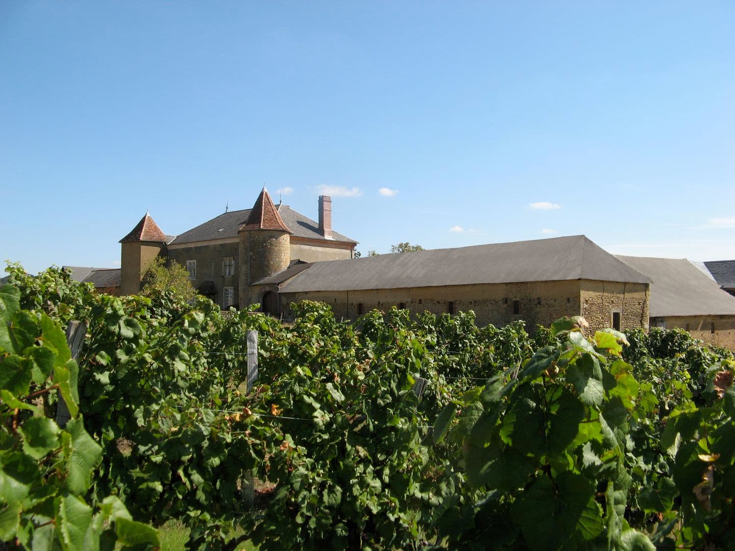 Chateau de Gayon