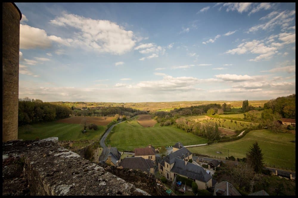 Chateau_de_Salignac (8)