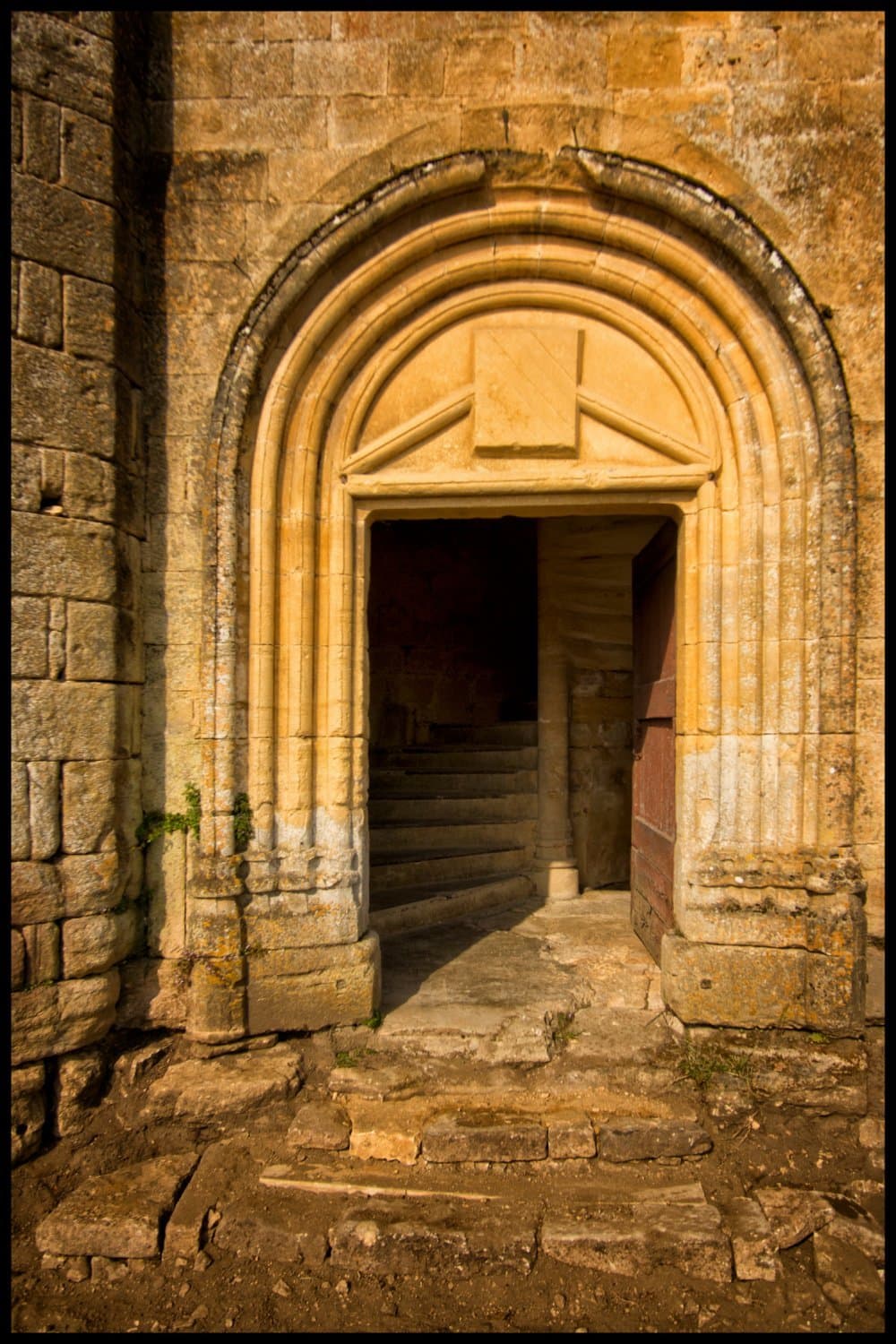 Chateau_de_Salignac (5)
