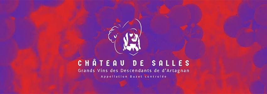 Chateau de Salles