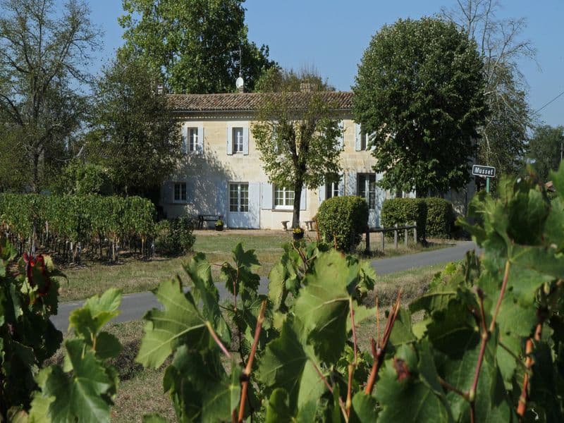 Château des Moines 2