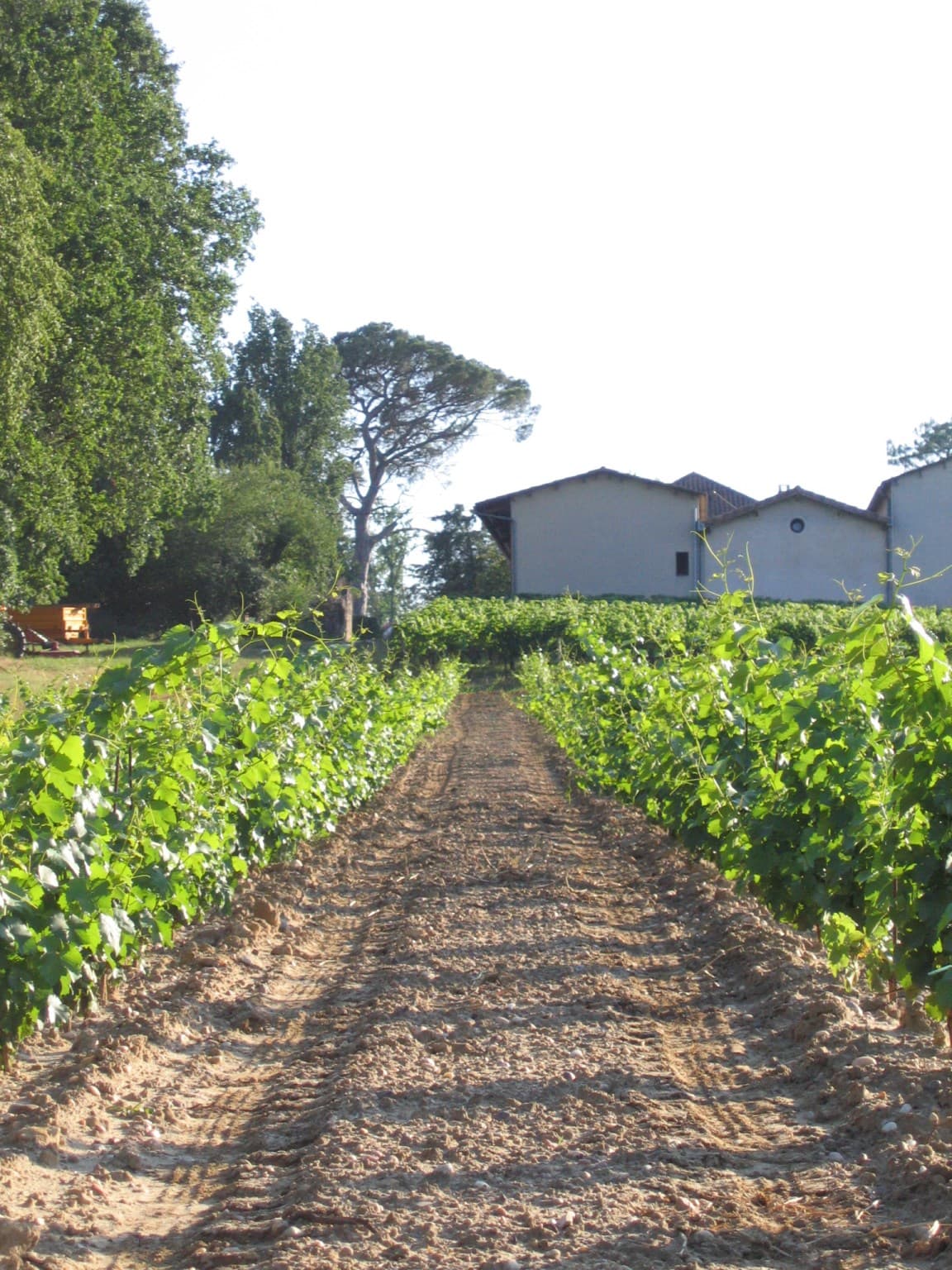 Chateau_lassalle (2)