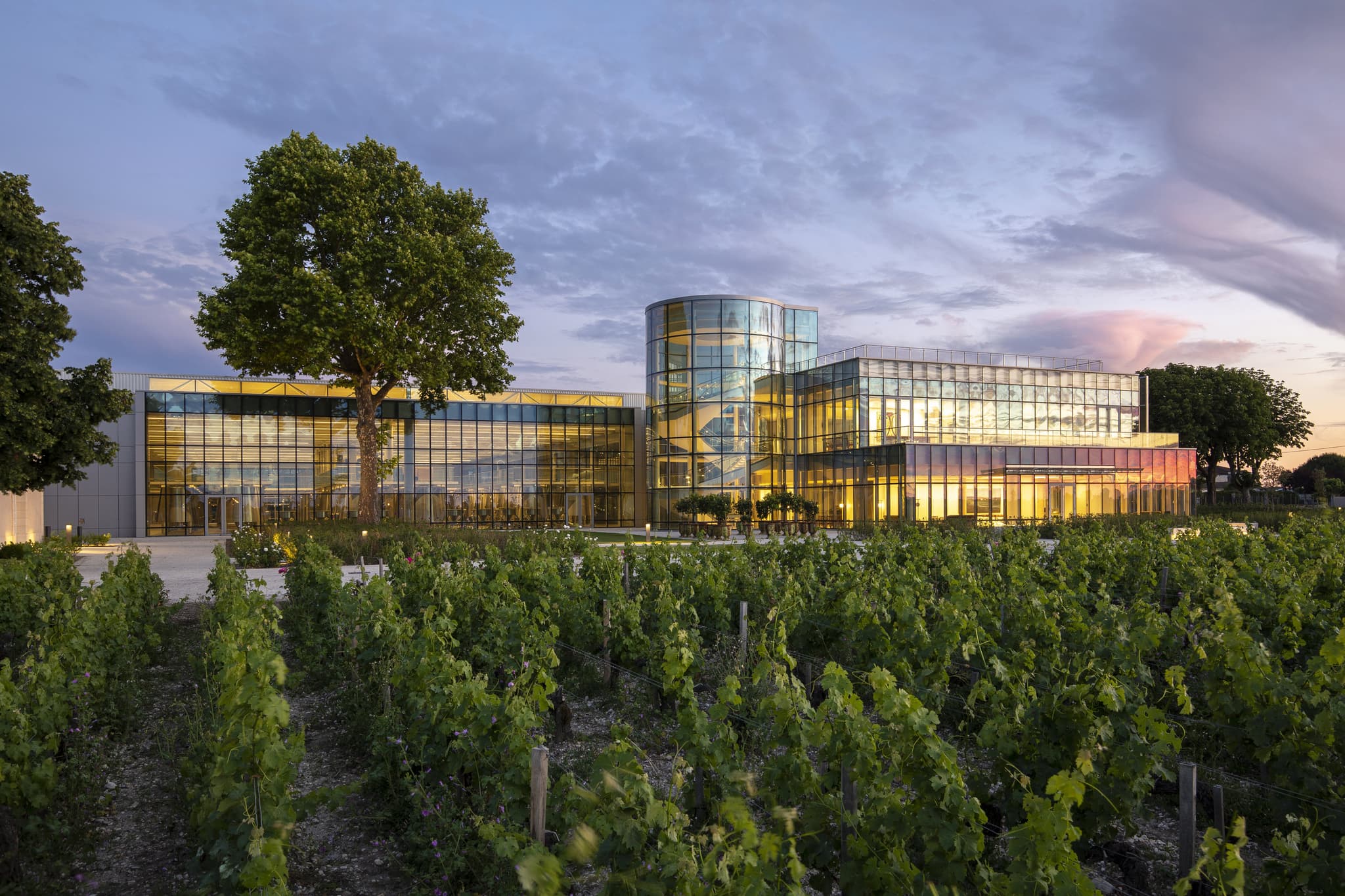 Chateau_lynch_bages 1